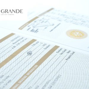 เพชรน้ำ 100 ขนาด 30 ตังค์ - 1906