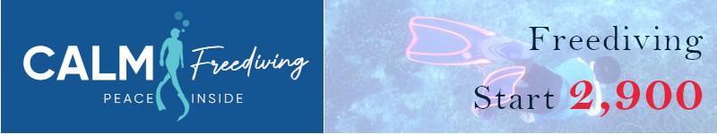 เรียนฟรีไดฟ์ อย่างปลอดภัย ผ่อนคลาย